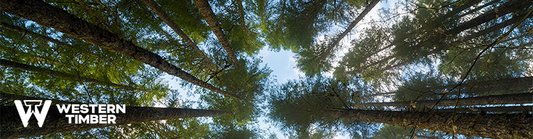 Western Timber - Contacts