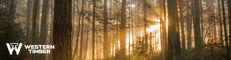 Western Timber - Sales